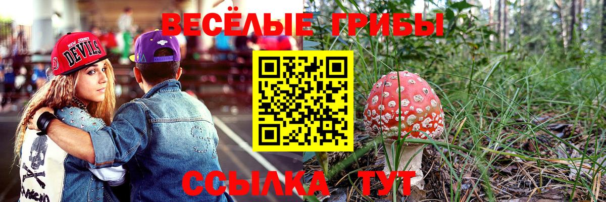 Мыски  где найти   Вход с VPN  Галлюциногенные грибы Magic Shrooms 