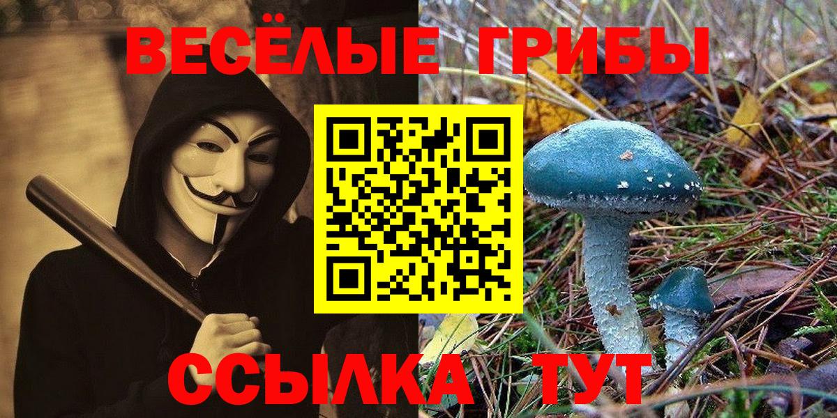 Псилоцибиновые грибы Psilocybine cubensis Мыски
